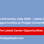 Punjab University Jobs 2025 – Latest Career Opportunities at Punjab University