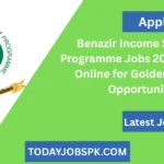 Benazir Income Support Programme Jobs 2025 – Apply Online for Golden Career Opportunity
