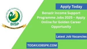 Benazir Income Support Programme Jobs 2025 – Apply Online for Golden Career Opportunity